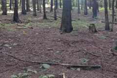 380009659_6900681846665802_5120505699079111177_n