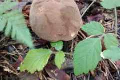 380343298_638900901760891_8930395640920678494_n