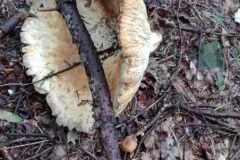 380558685_183769761433171_8355790242705312737_n