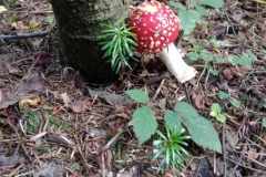 380732757_1790660428017702_5423303031830164955_n