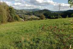 385398077_867697174868410_455376664095351706_n