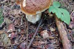 385496019_976012723491299_3504890318168460229_n