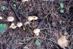 385513678_341126751610026_1092838704951534607_n