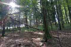 385527906_620027977005591_103935129655034872_n