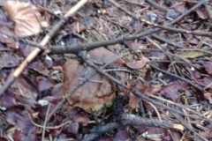 385530713_874480464082334_3167199775188270376_n