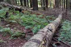 385540722_874442947578937_4419289196750061000_n