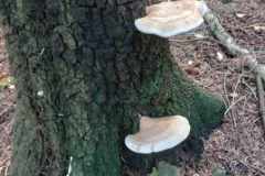 386468521_6780069332078334_8552773182601376889_n