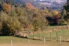 245657429_1319489745149044_6224010878869514632_n