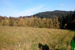 246034067_4421973584561099_1669191800549344619_n