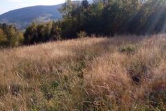 246488402_692444882146178_3652604382106584960_n