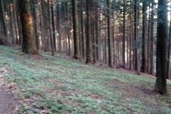 31081645_1677678558987781_5707876120360124416_n