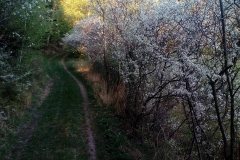 31143836_1677678792321091_2437926636683788288_n