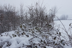 0610440f-1cbc-40d0-b057-5d5efa038ab8