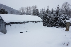 0e8622ef-4c68-47a8-a24b-0934d07175f8