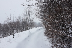 195e928f-8c84-4c0b-adc4-ef7ebe431bc9