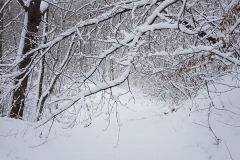 1ce36da7-713a-4e37-8215-35b749b7a2d7