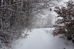 1f877bf3-0680-48c0-a452-a922f79a8fbe