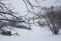 3668fa74-319b-4361-a66d-0a159fcd40f7