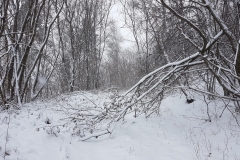 3c98b24f-3c8f-4905-b233-7bef94379530