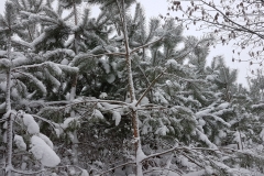 3ebfc5ca-746c-4ee1-9d8c-98c51ea2a8c1