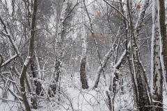 49e7d77f-b60d-4ca9-aa59-c2245b70bc17