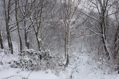 5ed6ffeb-a612-41f7-9aa1-30c2df29f346