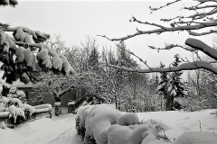 49348304_382886492275290_2620219552830586880_n