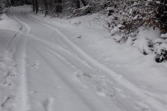 49406791_2257792537842557_3189409844624883712_n