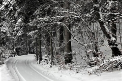 49467921_349158109002296_5460608917484601344_n