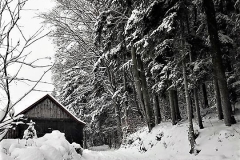 49946879_2250277401921923_6412799447566123008_n