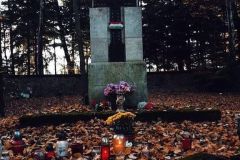 received_722709741664135_wynik