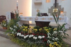 168298925_293741225471614_8808220424549006382_n