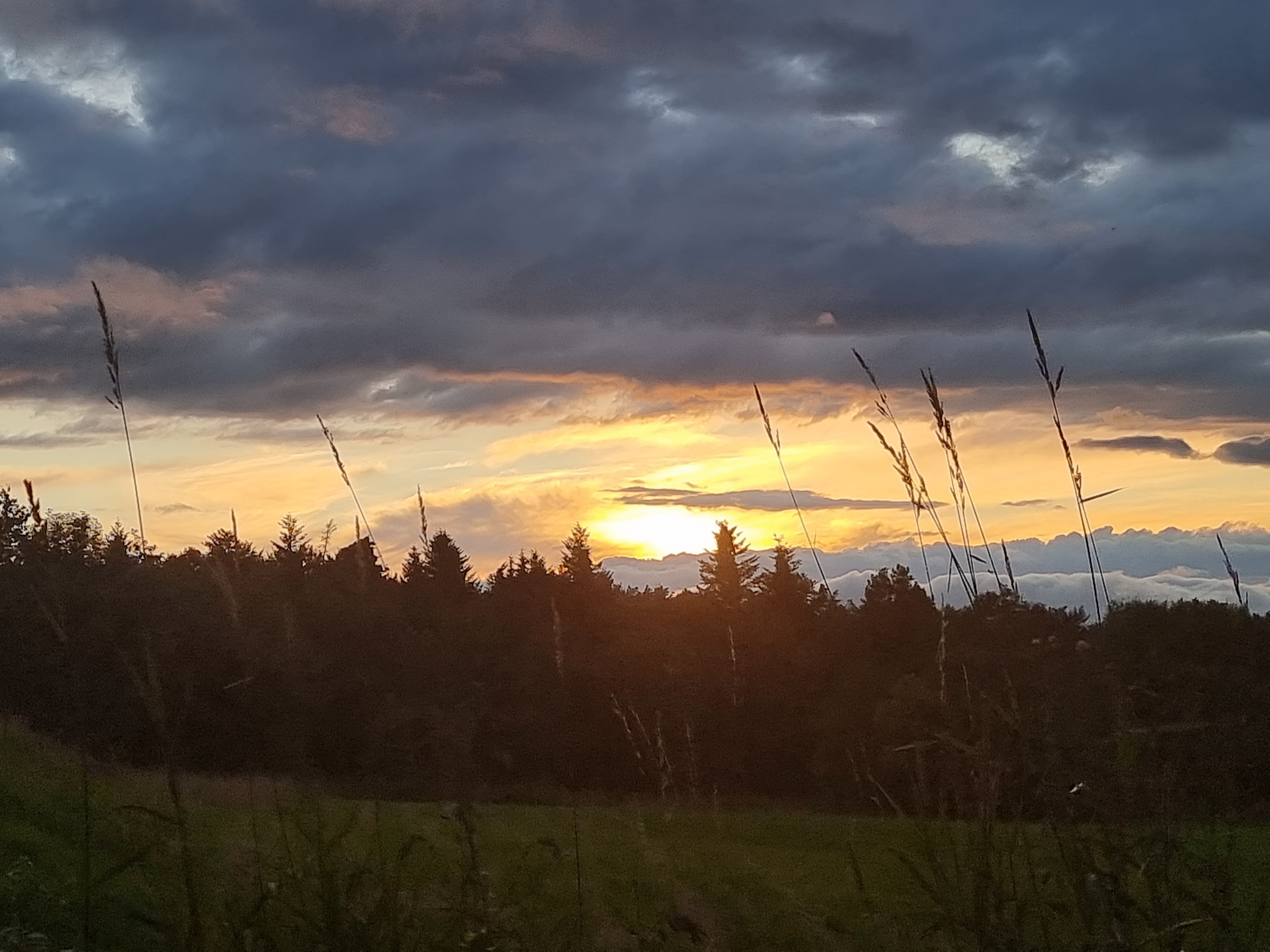 Niedzielny zachód słońca