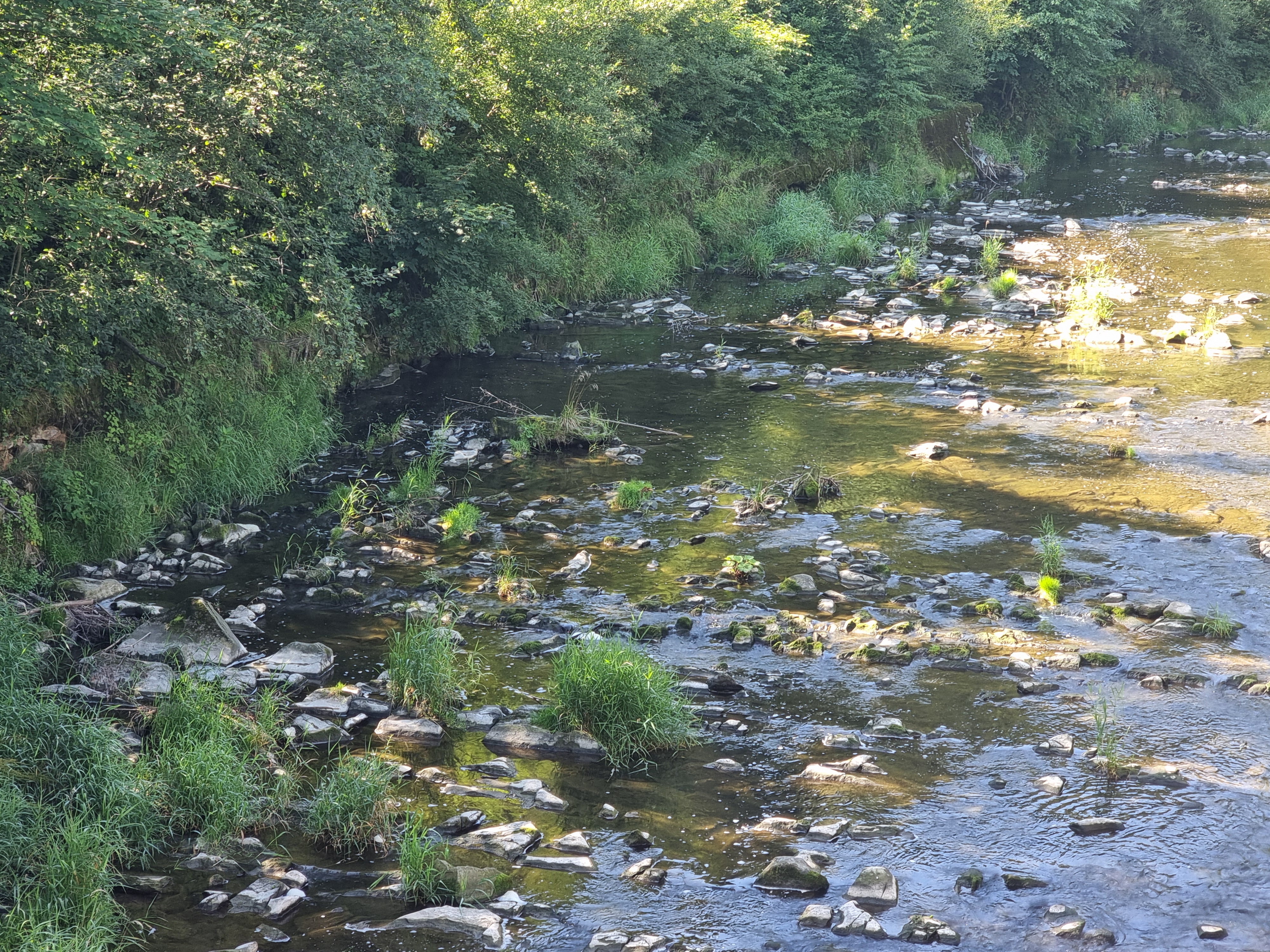 Piekiełko – rzeka Łososina