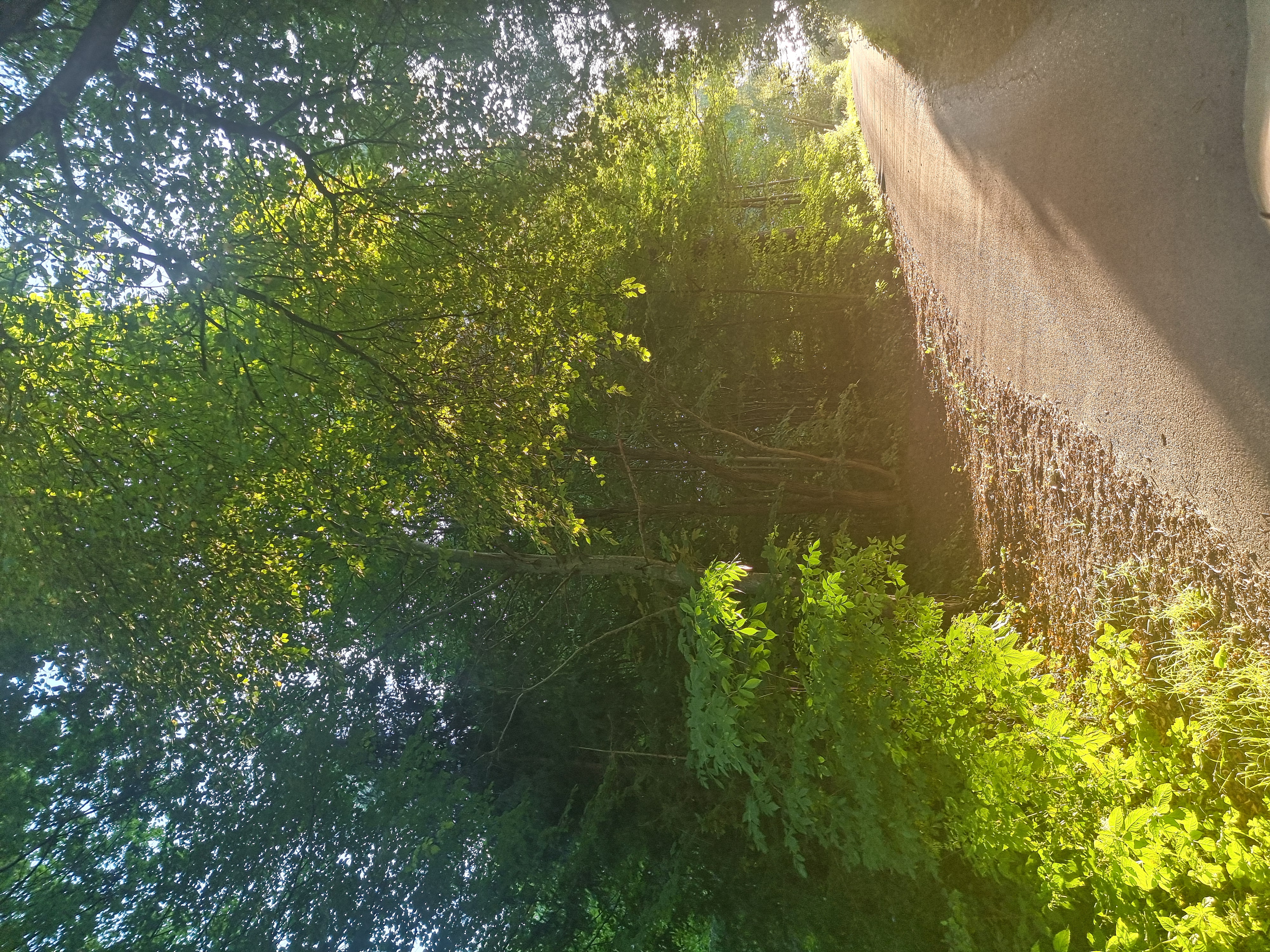 … a za rogiem czeka słońce