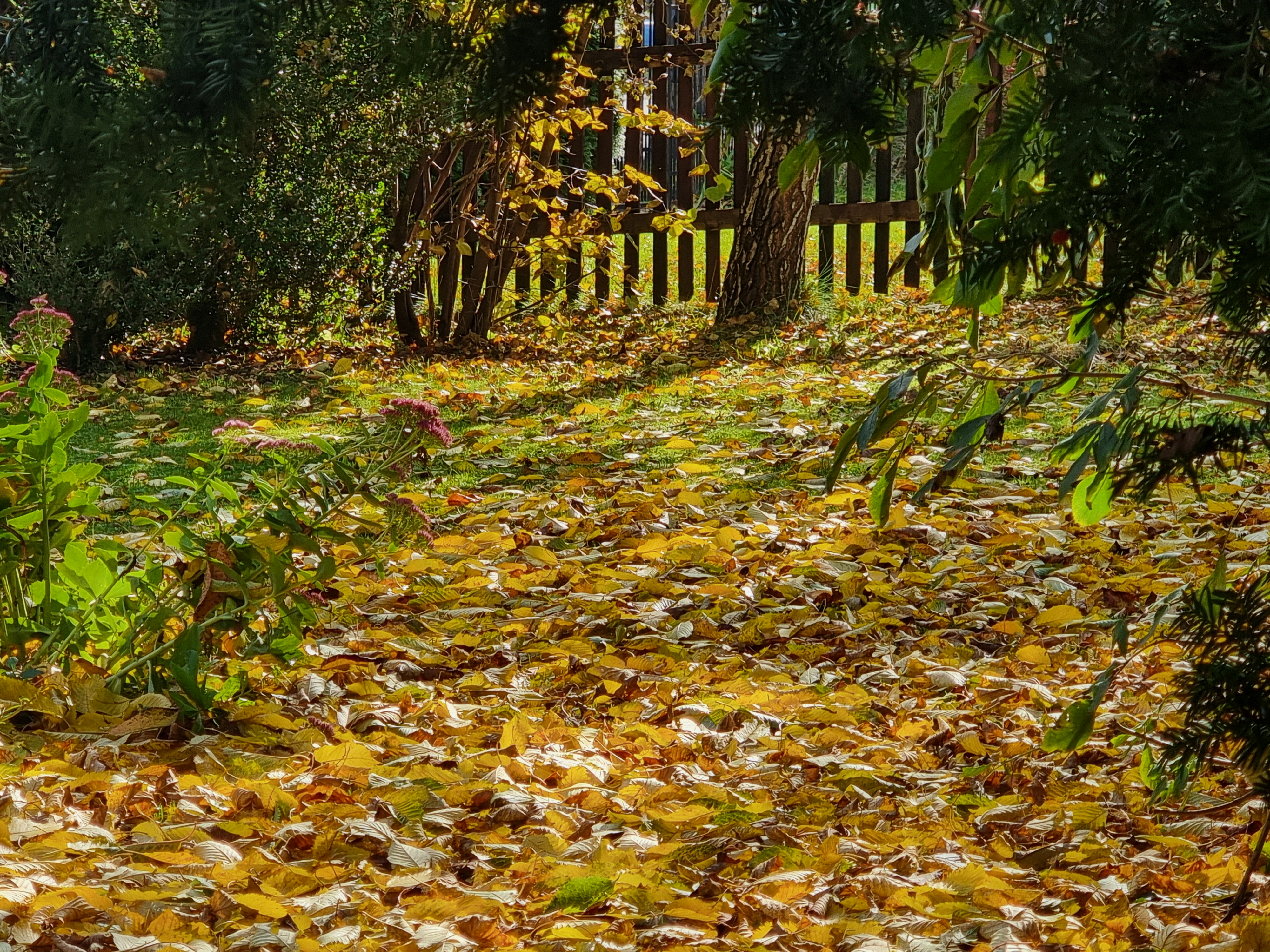 Jeszcze nie listopad, ale …