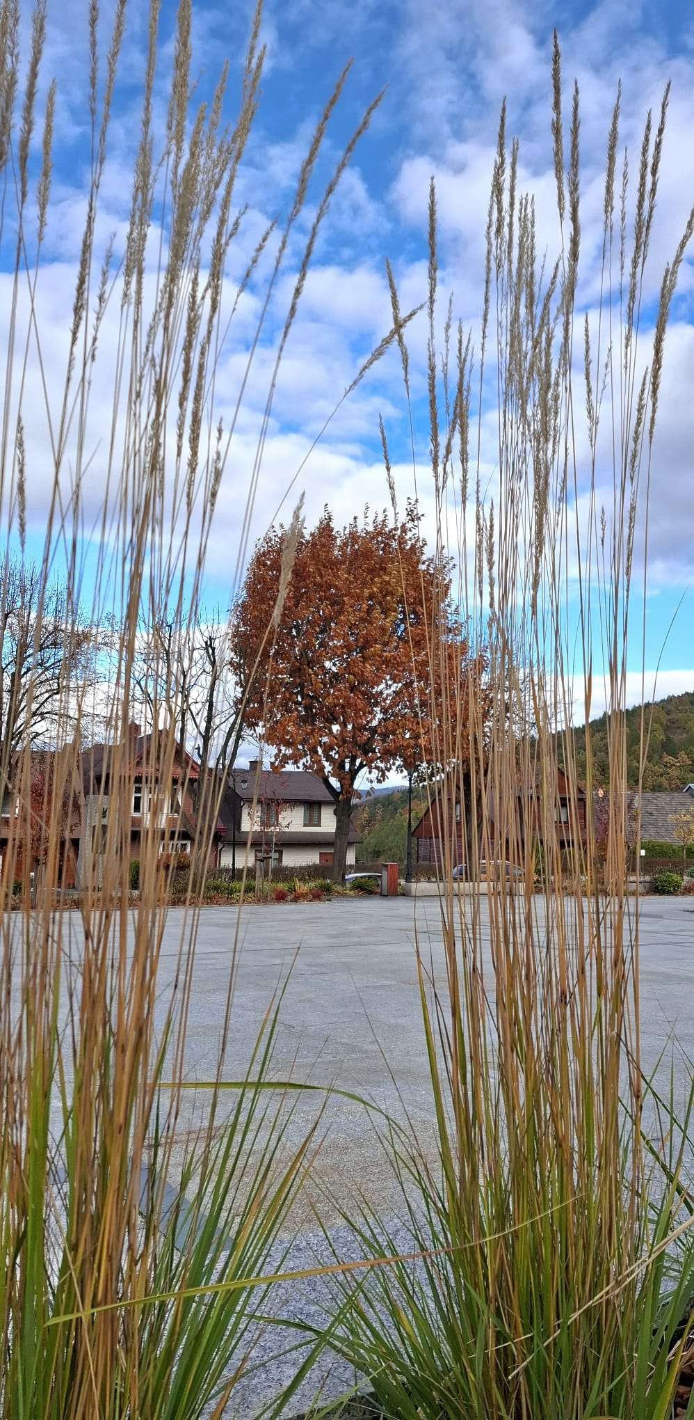 Tymbarski Rynek z nietypowej perspektywy