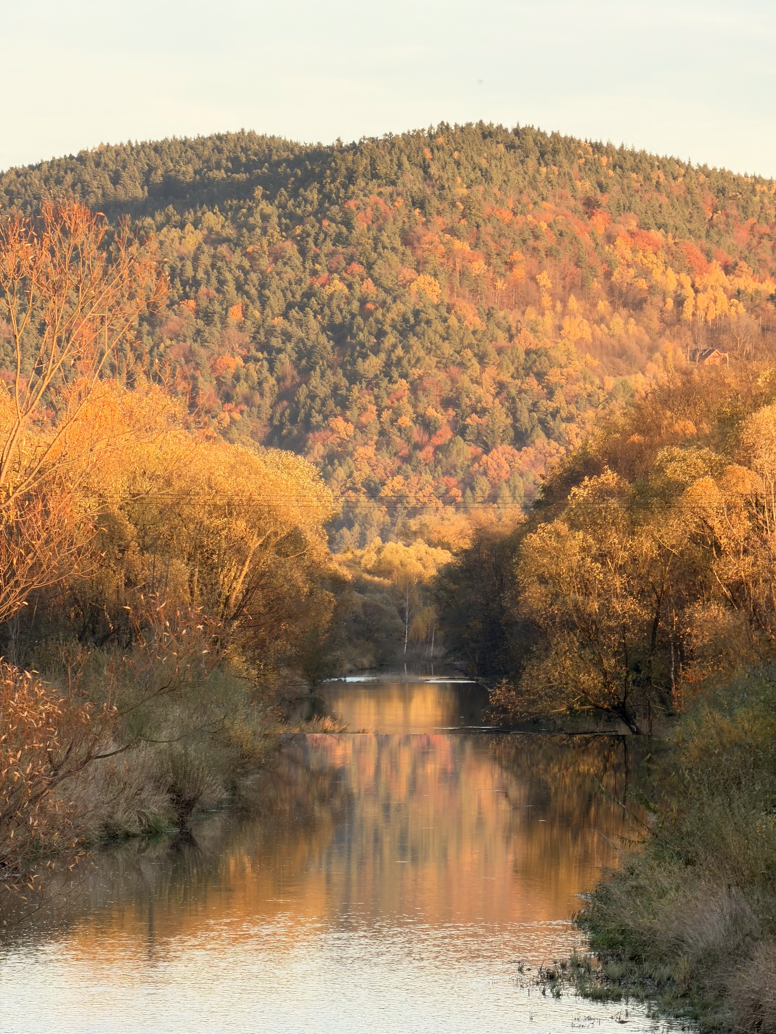 Rzeka Łososina widziana z Podłopienia