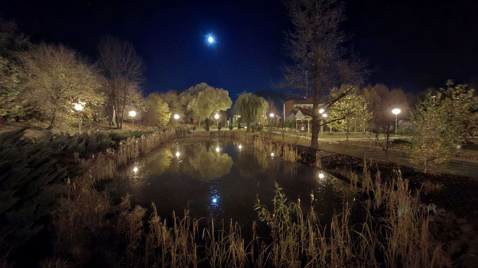 Tymbarski park nocą