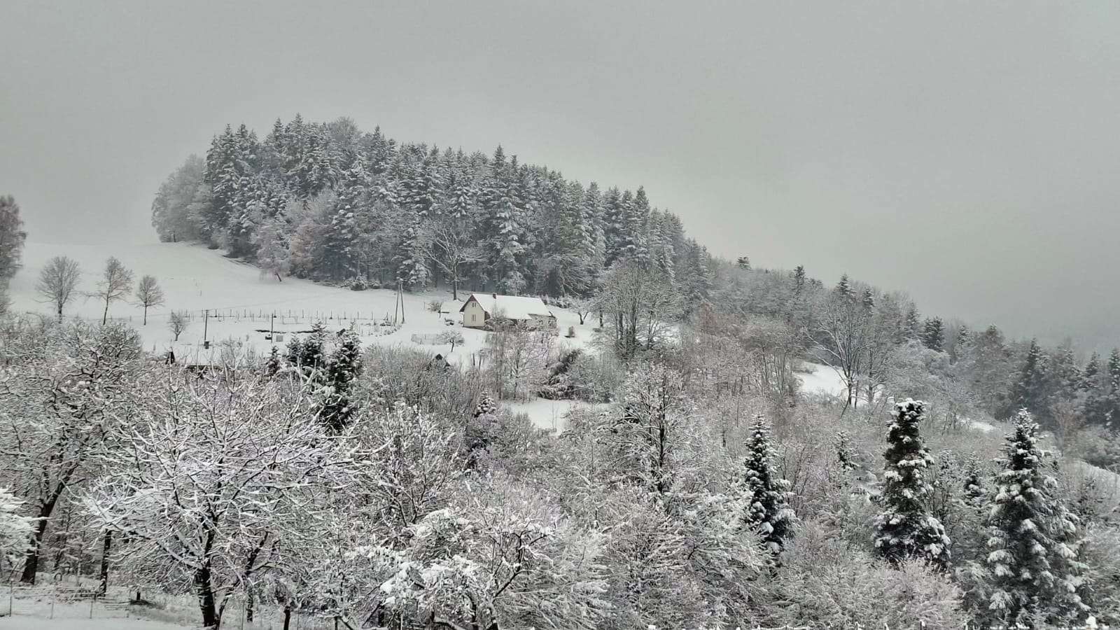 Kiedy pada śnieg, śnieg, śnieg…