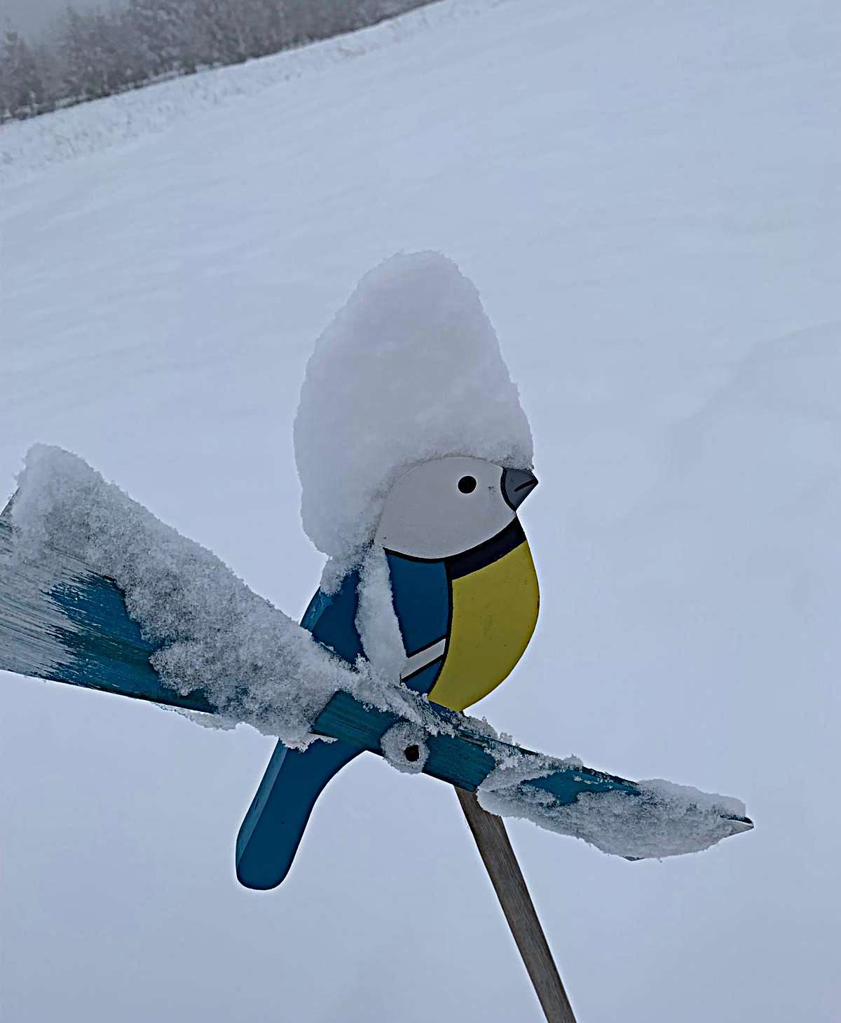 Czapka na głowie, to i zima już nie groźna :)