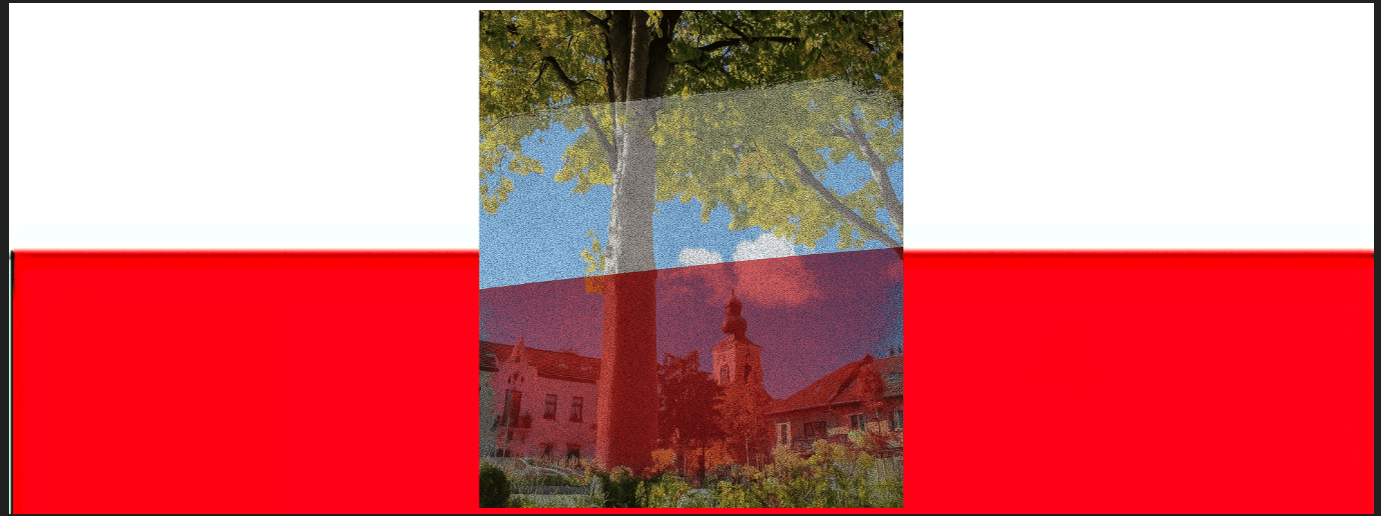    Wydarzenia Historia Kultura Sport