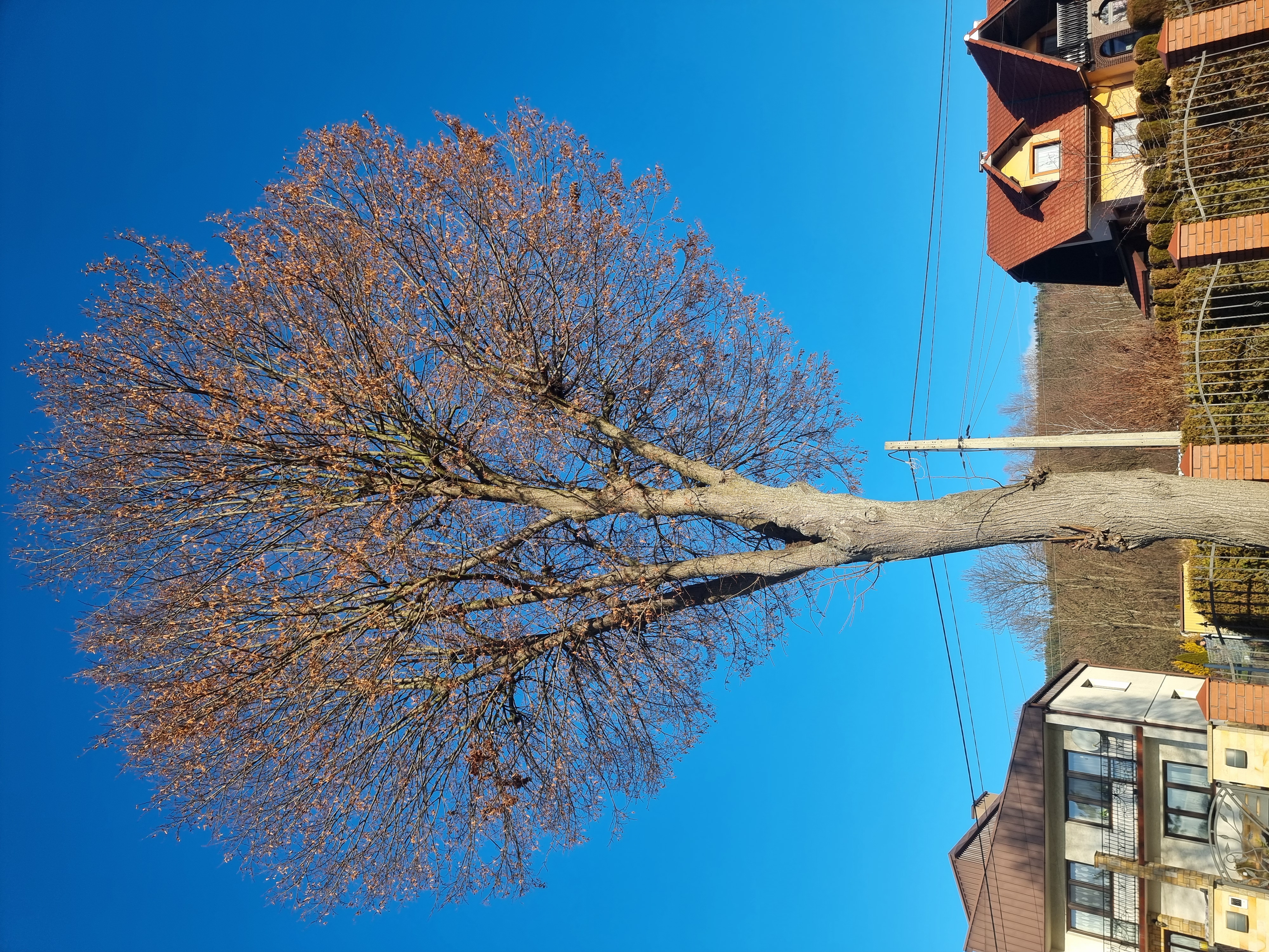 Patrząc dzisiaj na Zamieście kończąc stanie w półgodzinnym”korku”