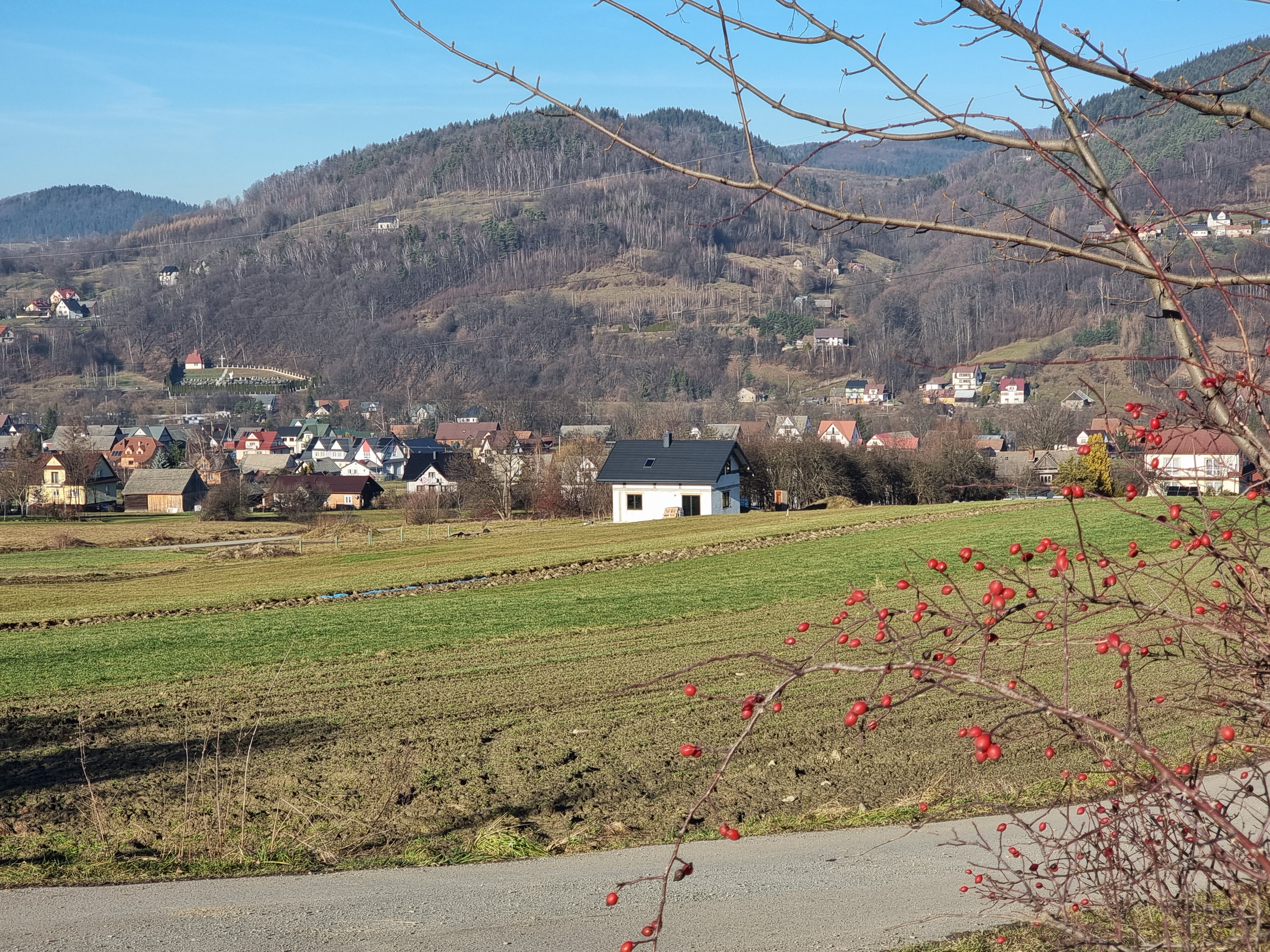 Przysłowie dnia: „Święta Łucja głosi, jaką pogodę styczeń przynosi”