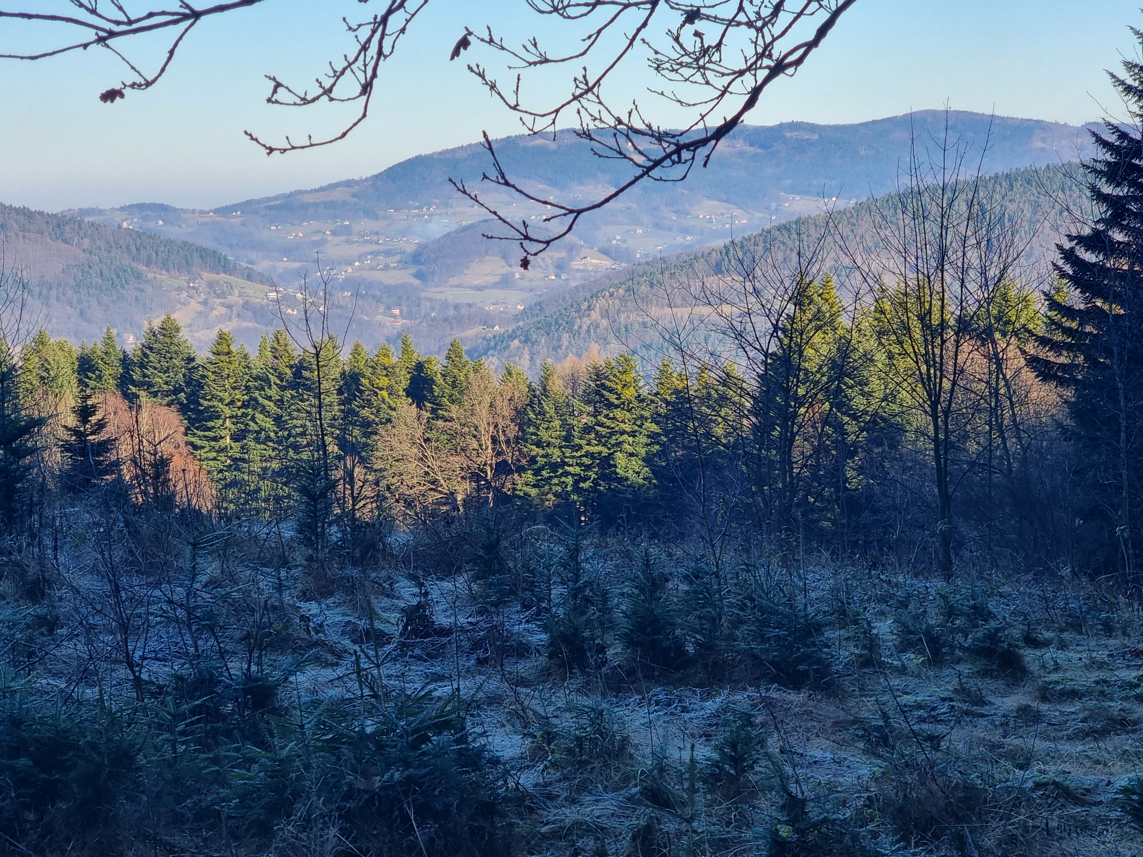 Sobota w tymbarskim lesie