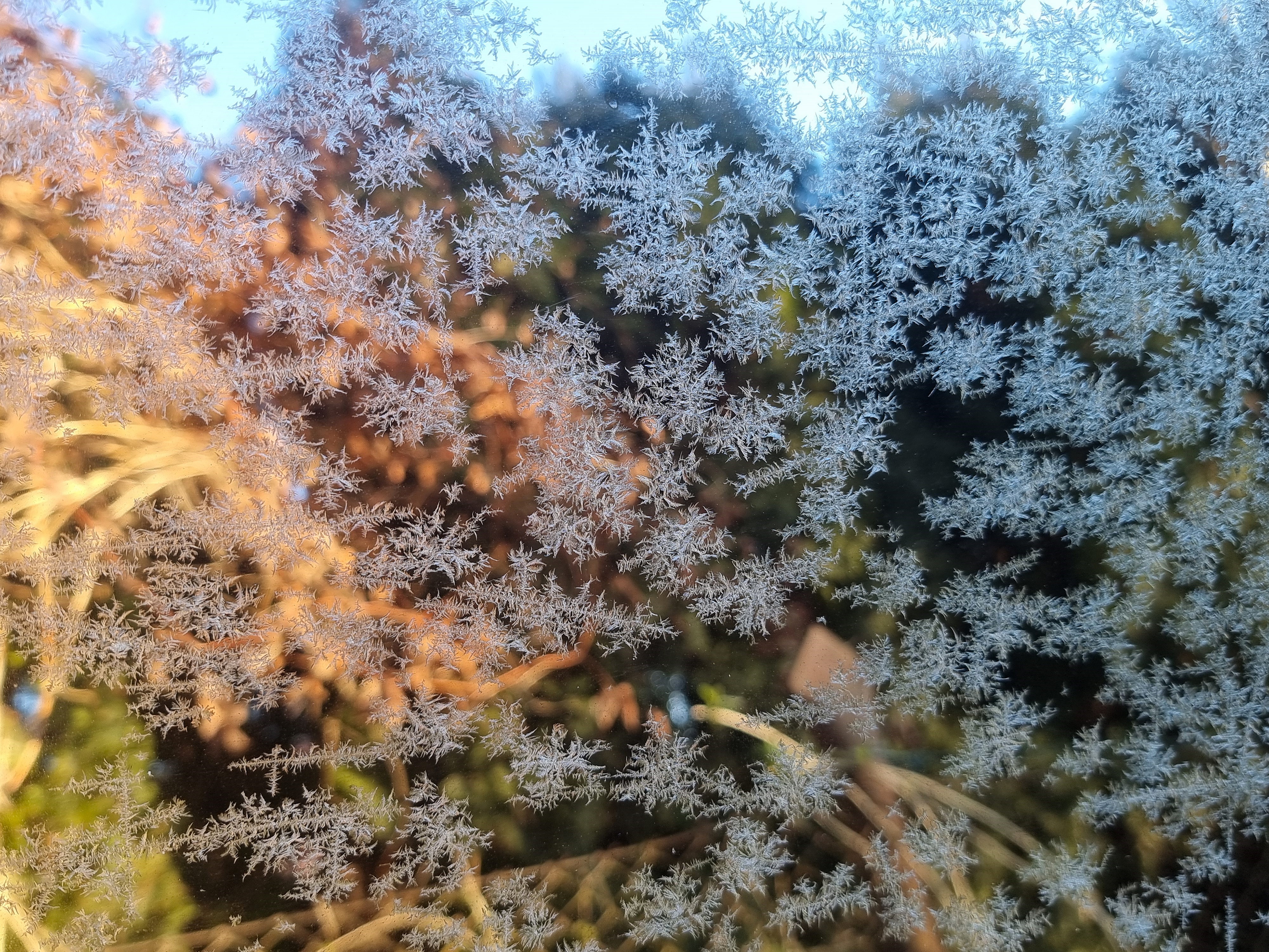 Przyroda wokół nas – jej piękno