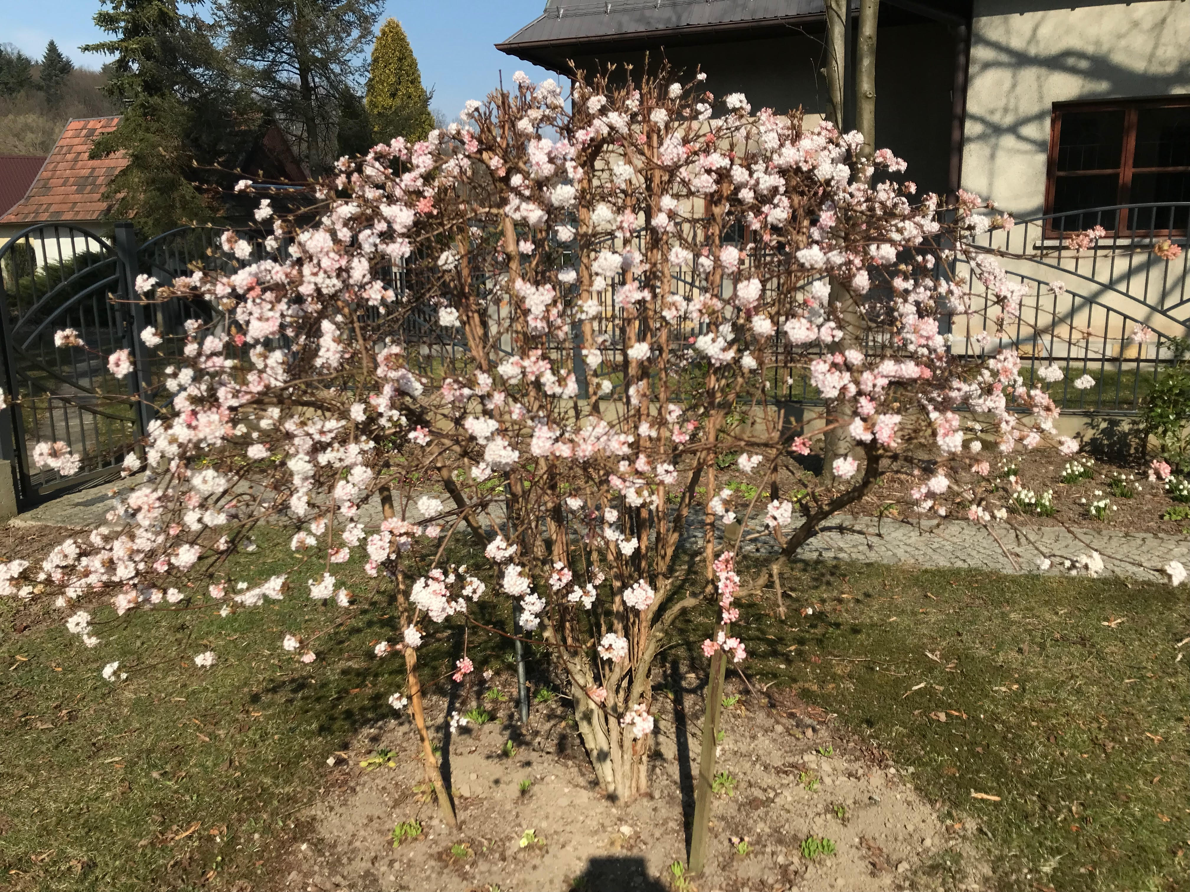 Pszczółki się cieszą!