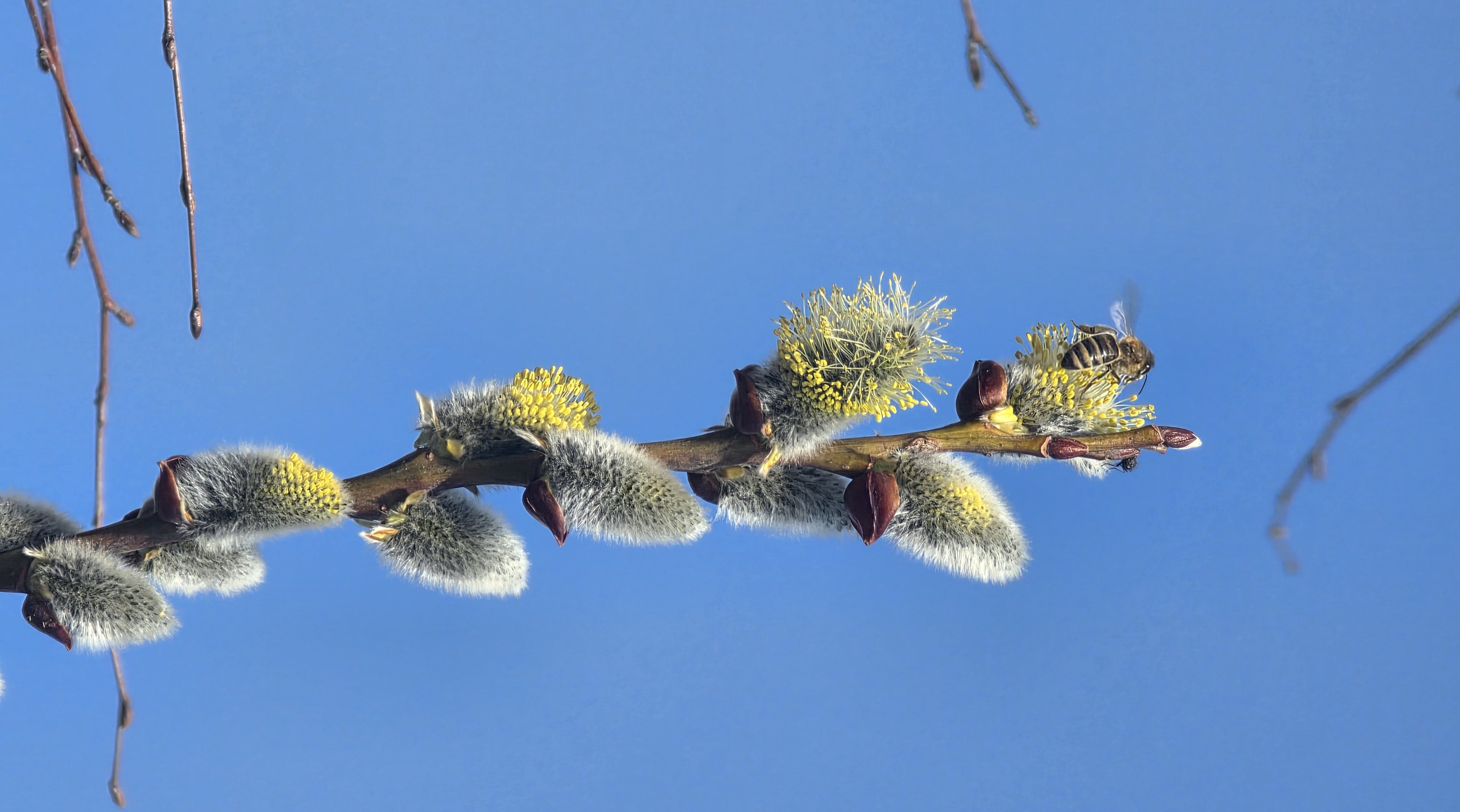 Przyroda wokół nas