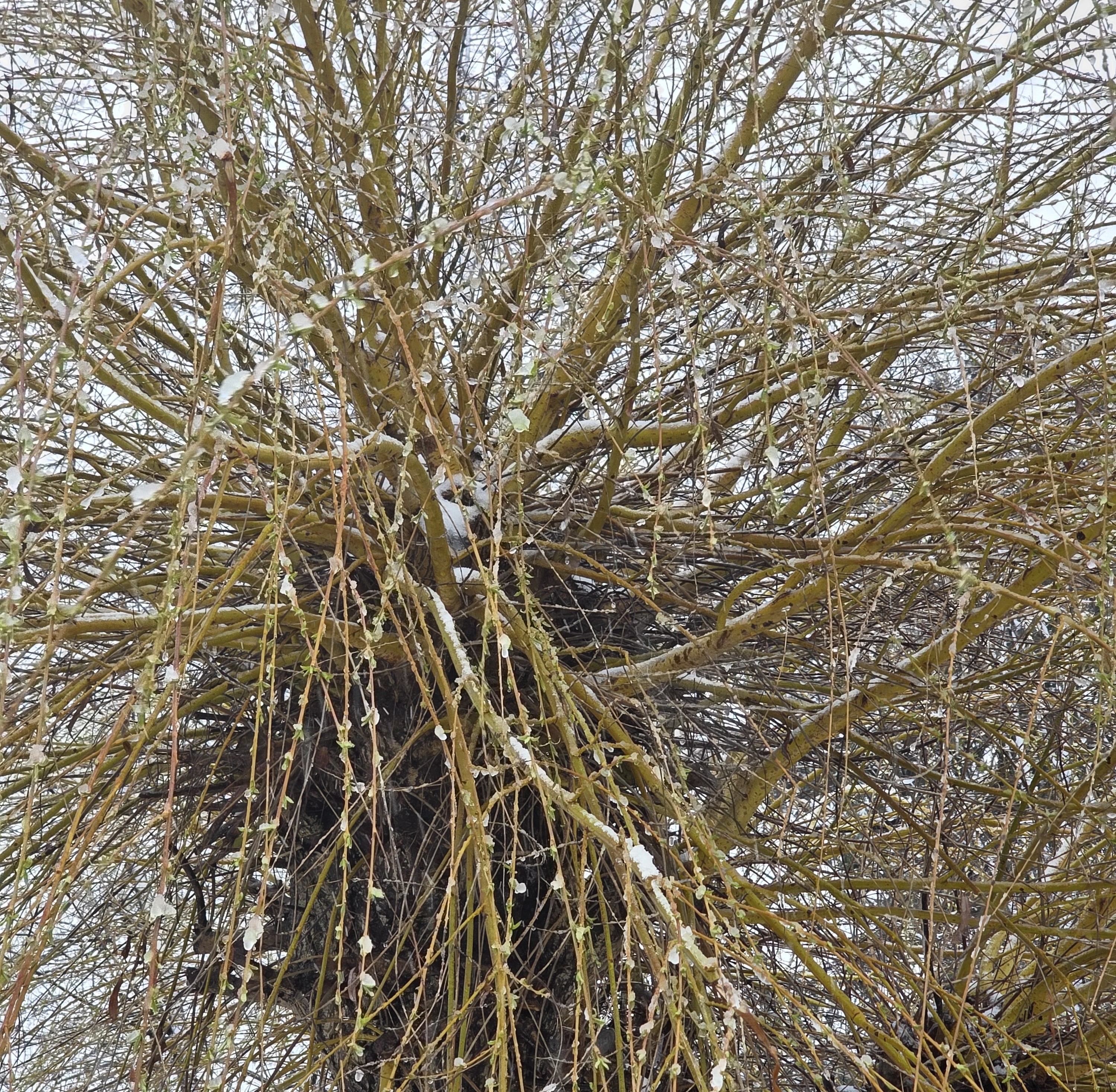 „W marcu jak w garcu” – tym razem incydenty zimowe