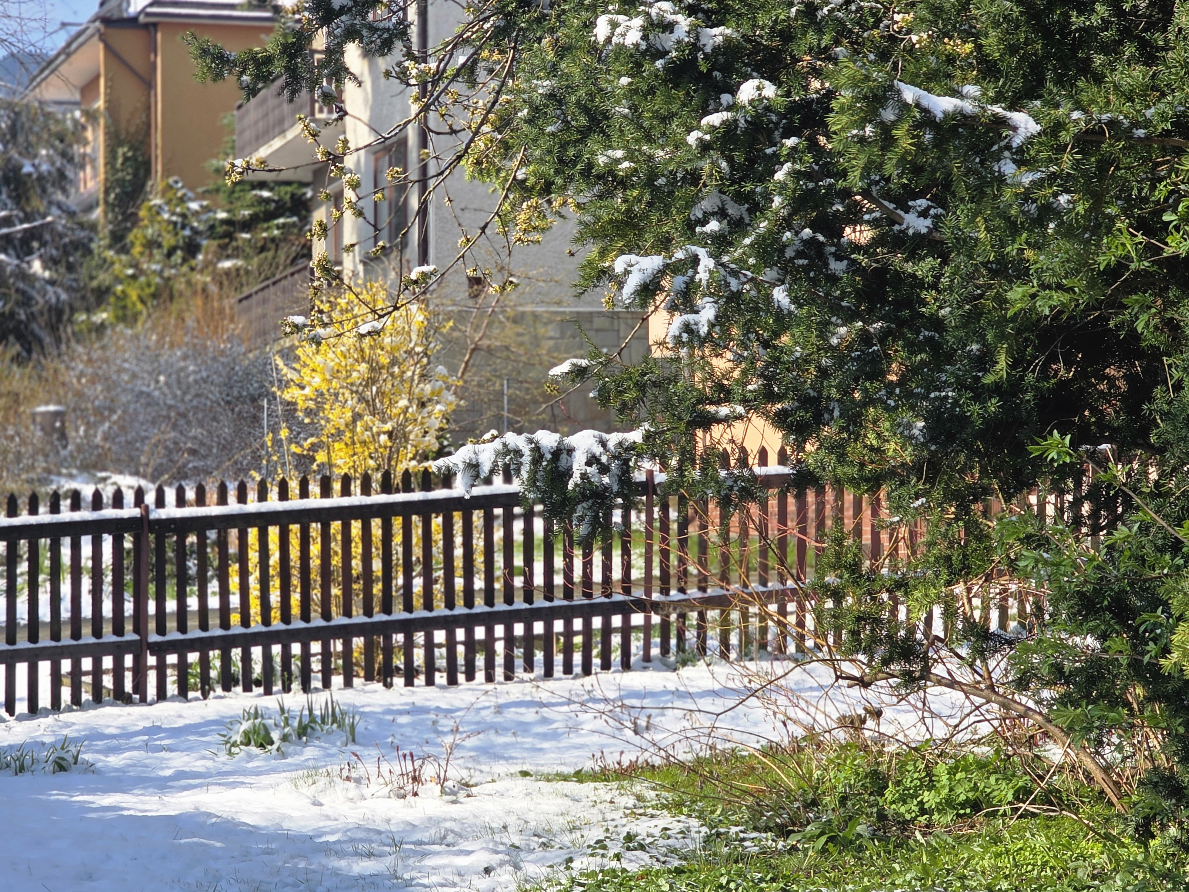 Piątek w Tymbarku – obrazki z porannych godzin